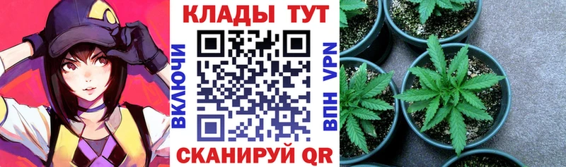 Где продают наркотики Кувшиново АМФ Канабис Cocaine А ПВП