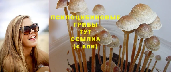 дмт Магас