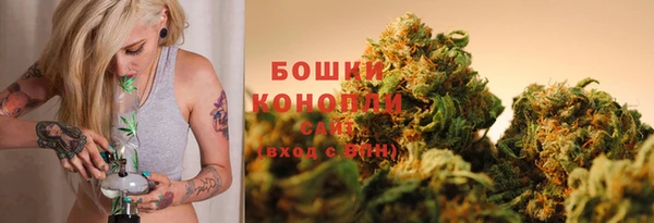дмт Мегион