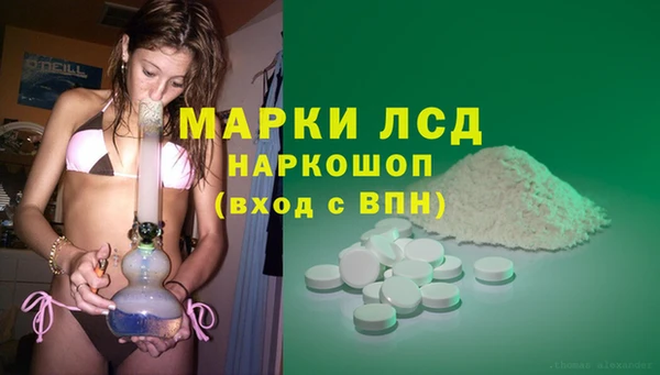 дмт Магас