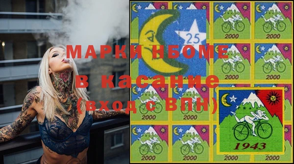 индика Медвежьегорск
