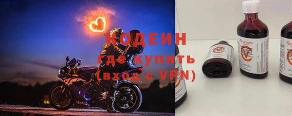 индика Медвежьегорск