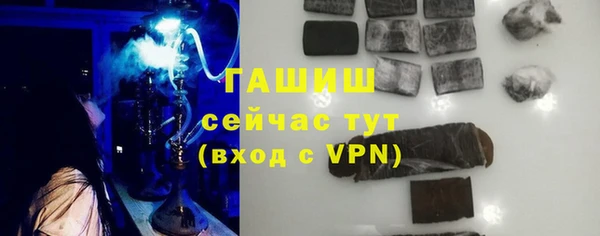 индика Медвежьегорск