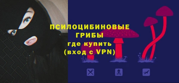 мдпв Лихославль