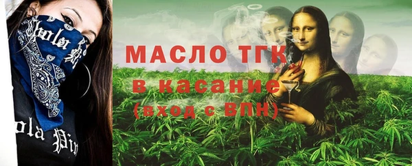 индика Медвежьегорск