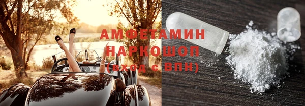 прущие грибы Горно-Алтайск