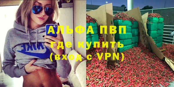 индика Медвежьегорск