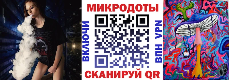 Псилоцибиновые грибы Psilocybe  Кувшиново 